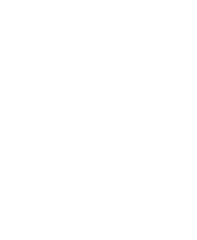 Fi